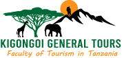 Kigongoi General Tours